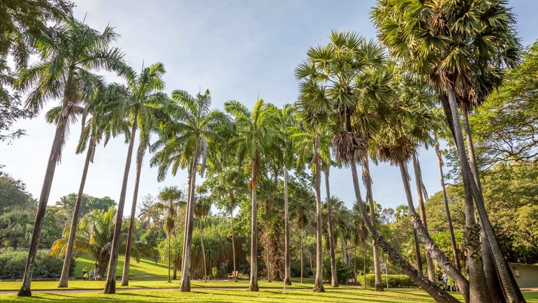 George Brown Botanic Gardens in Darwin