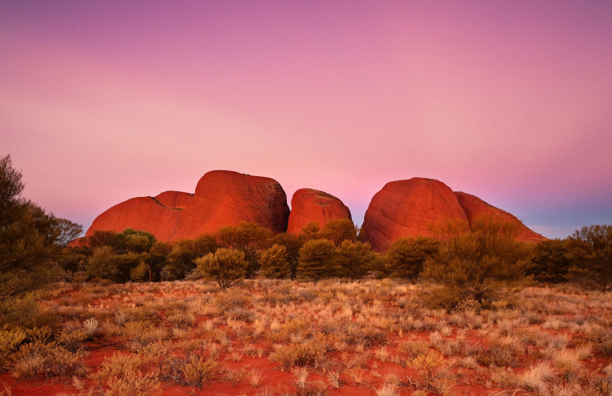 Kata Tjuta (The Olgas) | Northern Territory, Australia