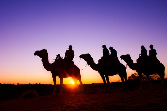 爱丽斯泉（Alice Springs）骆驼之旅