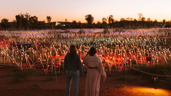 Field of Light in Uluru