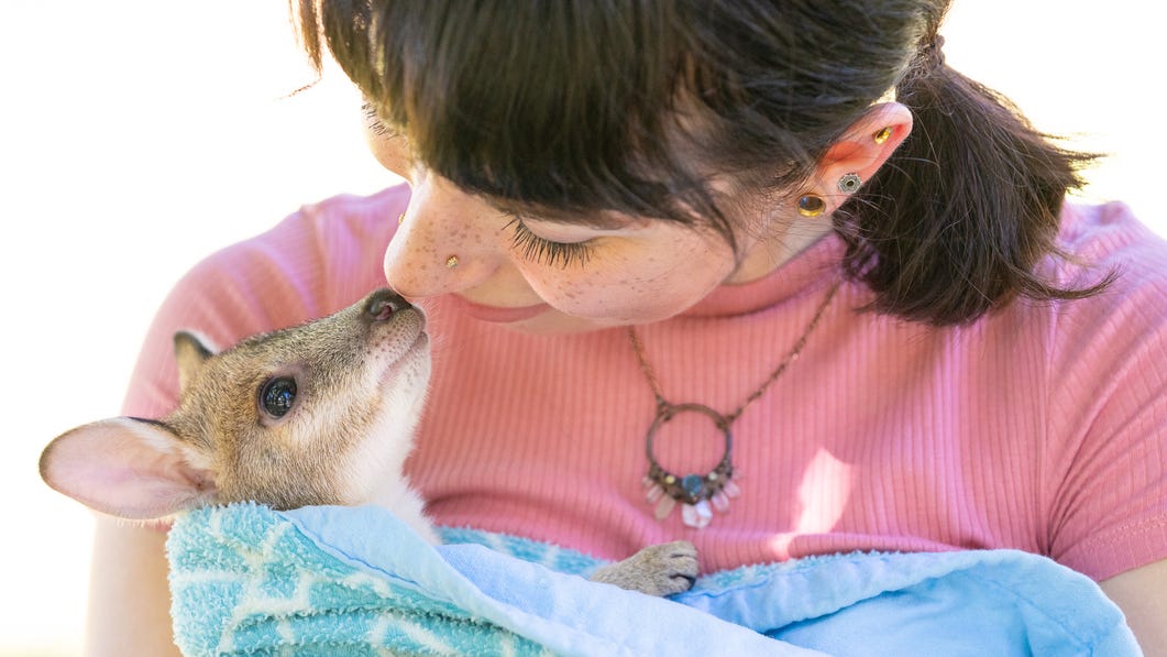 A woman holding a joey at Top Didj cultural experience near Katherine
