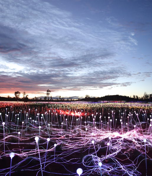 6-Bruce Munros field of light Uluru