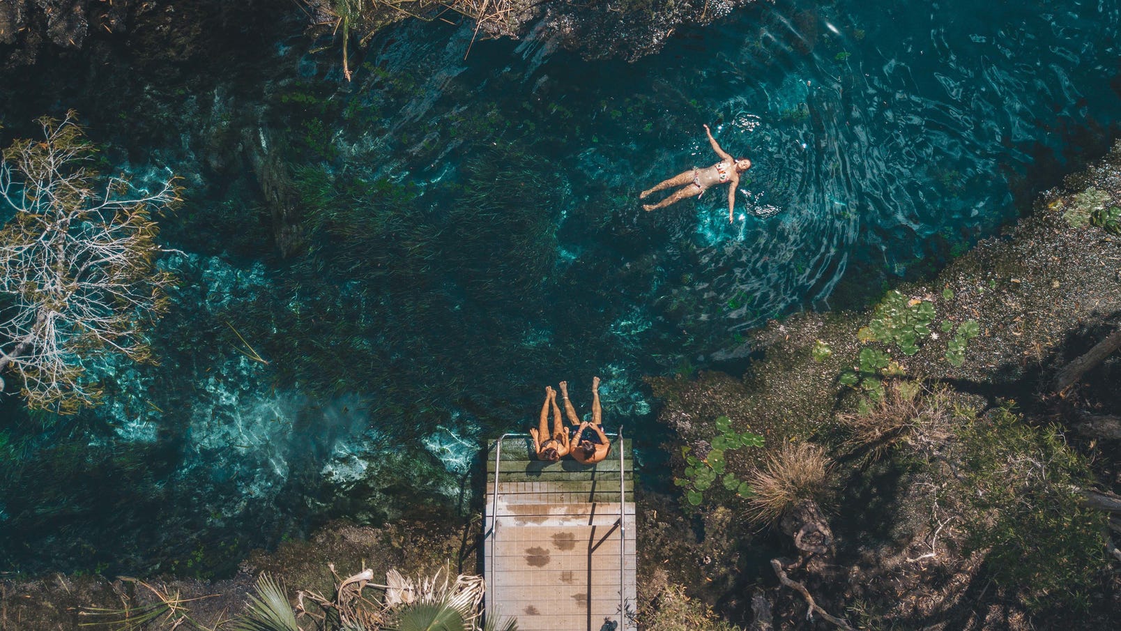 Mataranka Thermal Pool