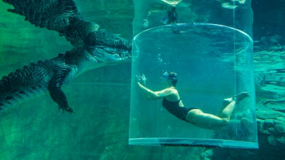 8 blood-pumping experiences to turn up the action this spring