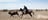 Rodeo at the Brunette Downs Races in Tennant Creek