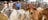 Finniss River Lodge cattle yard