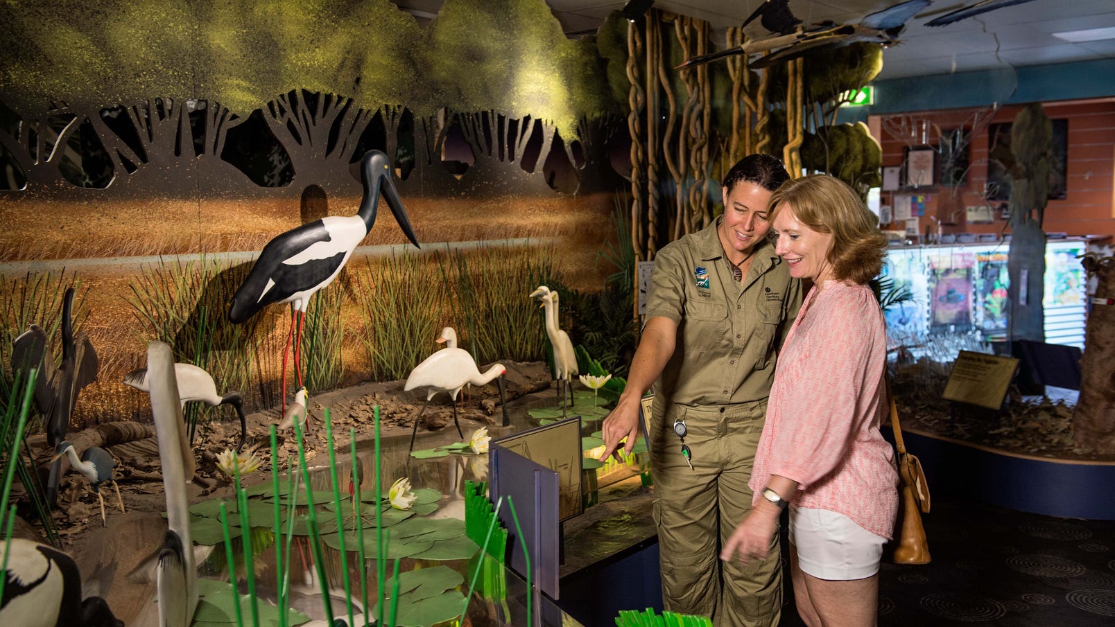 Looking at the display at Window on the wetlands