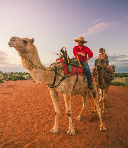 Uluru Camel 1 of 1 FullRes