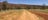 Dirt track near Alice Springs with ranges in the background