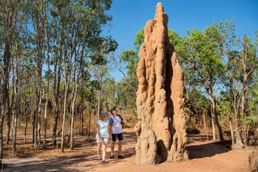 Litchfield-Termite-Mounds
