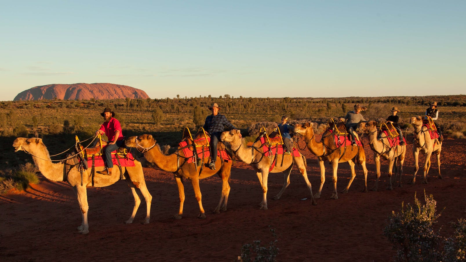 Matt Hayden and family riding camels with Uluru Camel Tours