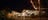 Restaurant_at_Cooinda_Lodge.jpg