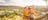 Two girlfriends taking a selfie at Anzac Hill in Alice Springs