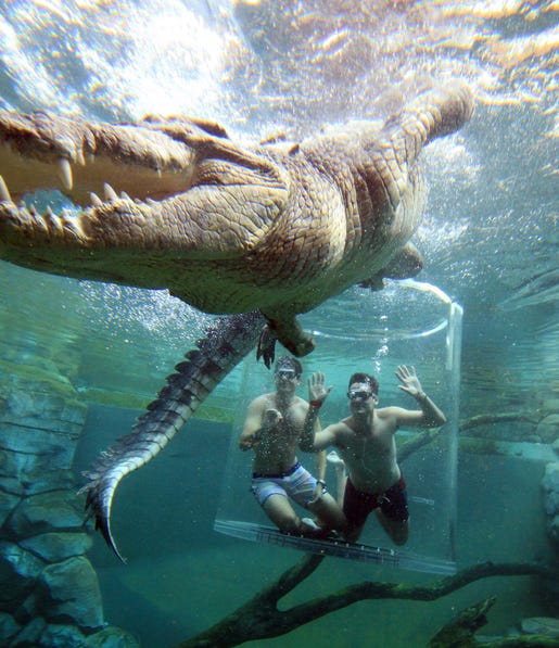 two men in thecage of death crocosaurus cove Darwin