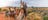 4-day adventurous outback journey