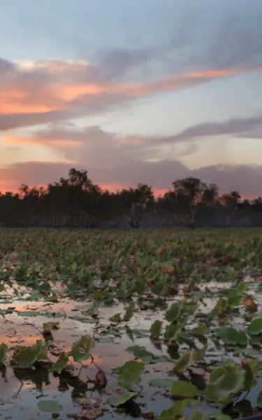 Yellow Waters - Kakadu NP