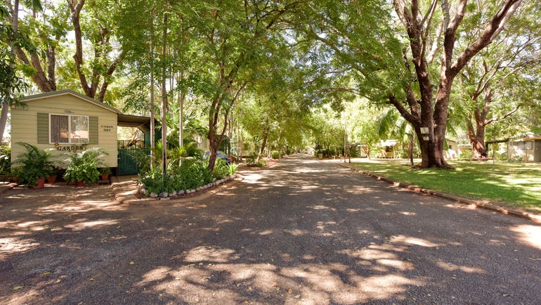 Knotts Crossing Katherine cabin and driveway