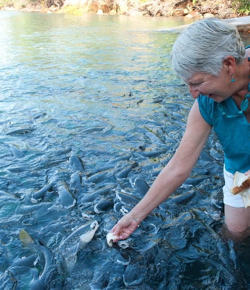 woman-feeding-fish-bread-at-aquascene,-d-,jpg