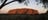 Uluru at sunset framed by a tree silhouette