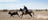 Rodeo at the Brunette Downs Races in Tennant Creek