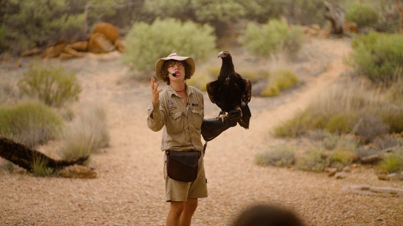 man holding bird and talking to crowd