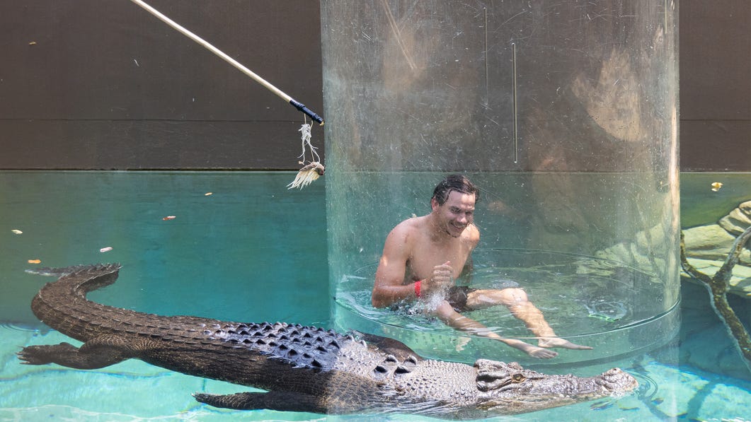 Daniel Rioli Crocosaurus Cove