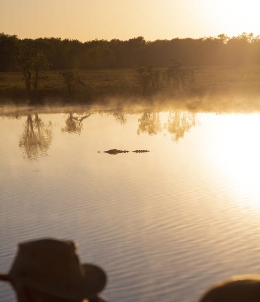 Croc Spotting on Yellow Water Cruise