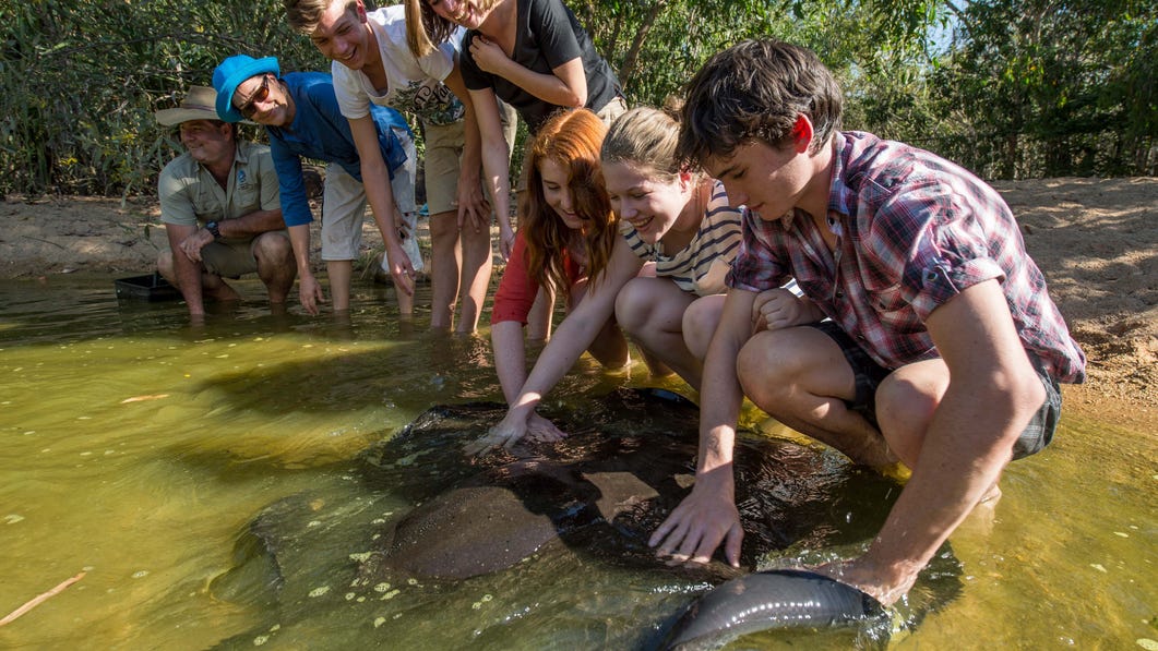 Fish Feeding at Territory wildlifepark