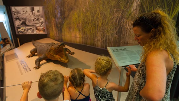 Looking at Sweetheart in the Museum