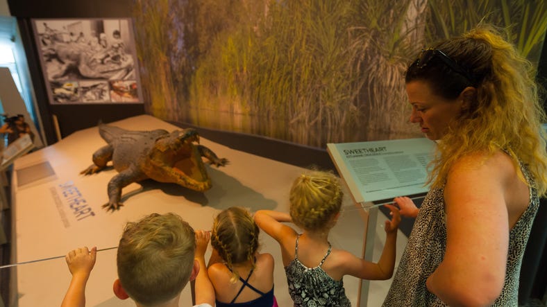 Looking at Sweetheart in the Museum