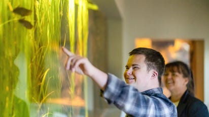 8 amazing sensory experiences in the Red Centre for blind or low vision travellers