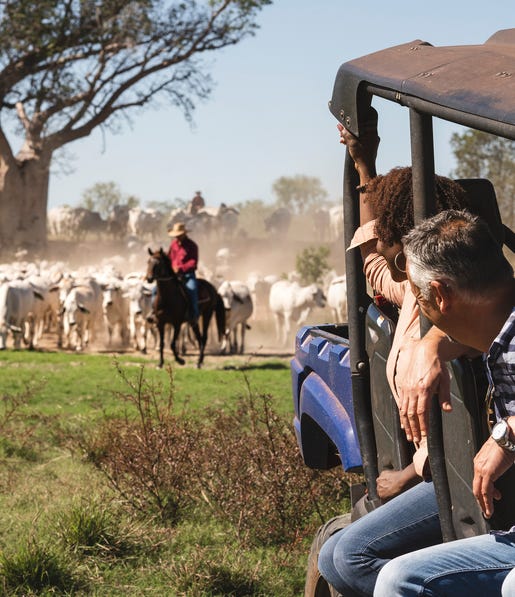 Buggy tour Bullo River Station