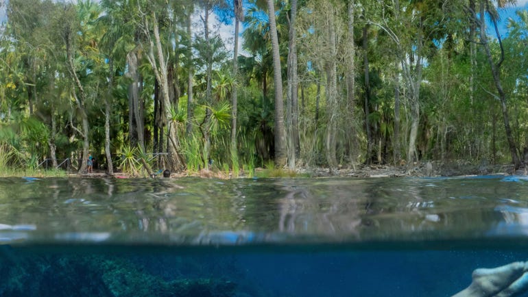 A woman swimming at Bitter Springs near Katherine