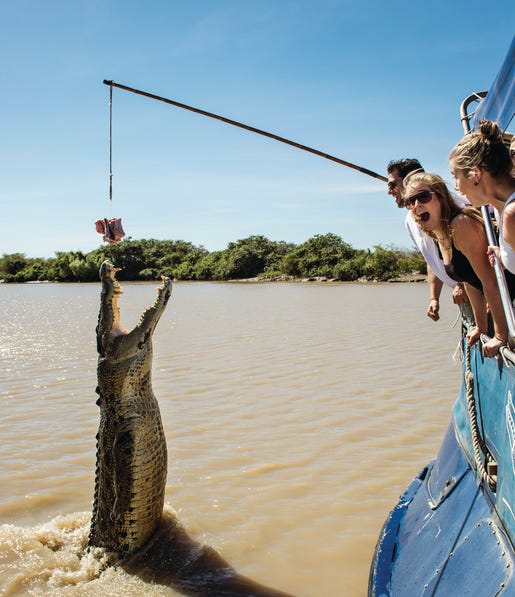 12-Jumping Crocodile Cruise