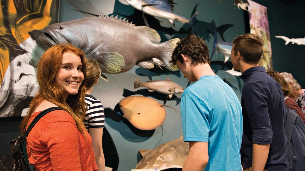 Darwin Museum and Art Gallery in Darwin fossils exhibition