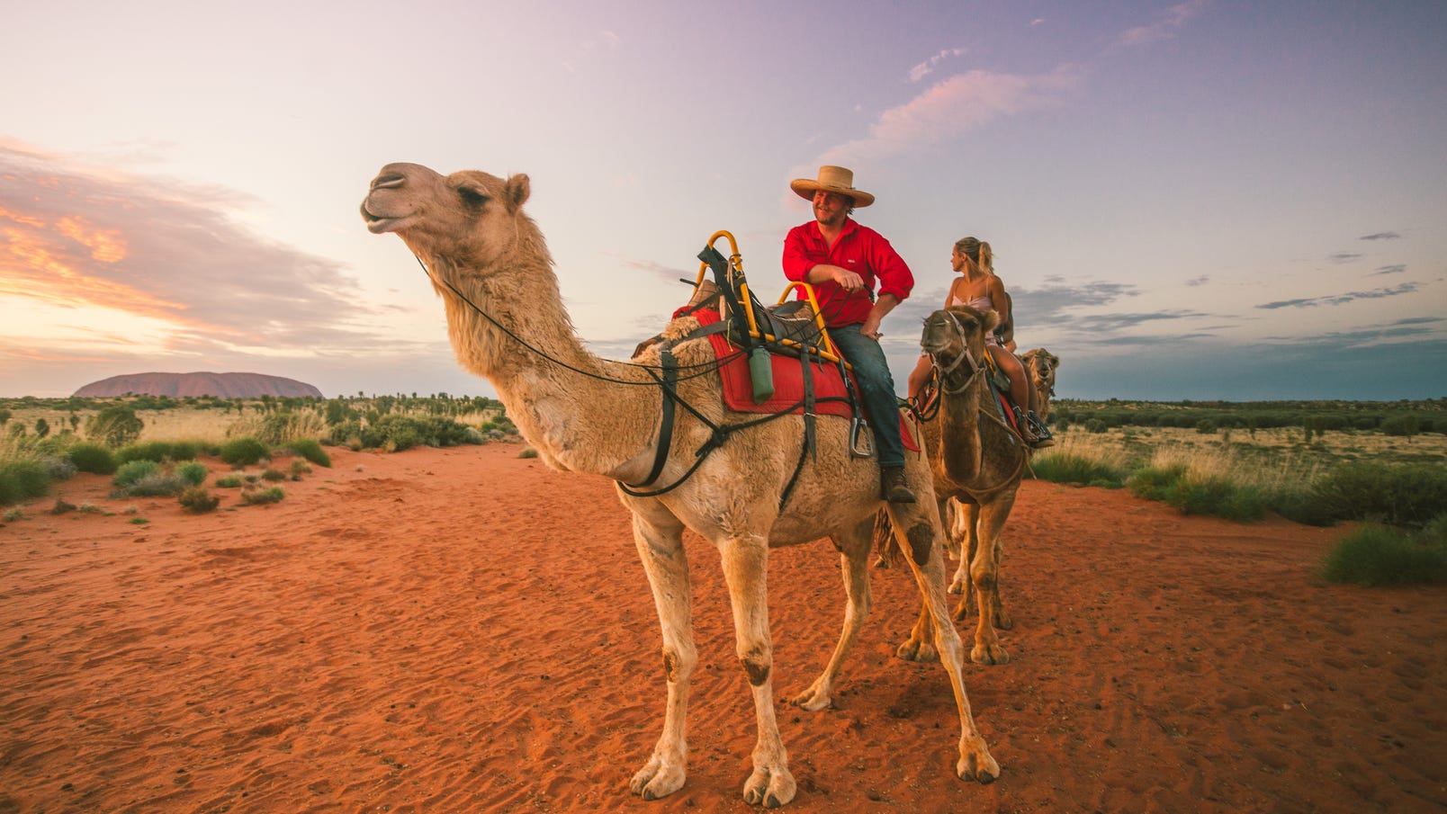 couple on camels experienced at uluru camel tours the bachelor