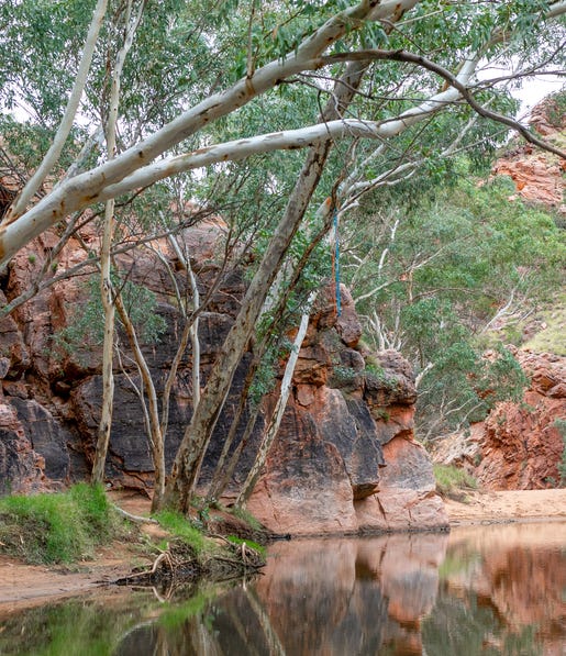 Emily Gap waterhole