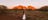 Views at Kata Tjuta