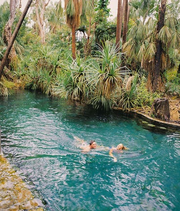 7-couple swimming at mataranka springs,-d-,jpg