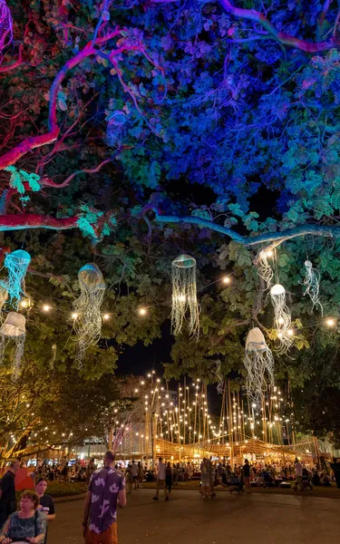 Jellyfish art at Darwin Festival