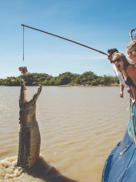 Jumping Crocodile Cruise