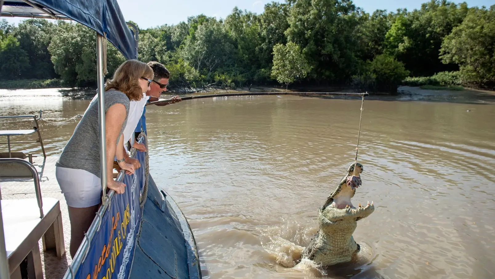 jumping-croc-feeding
