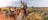 A couple riding a camel in front of Uluru with a rainbow in the background