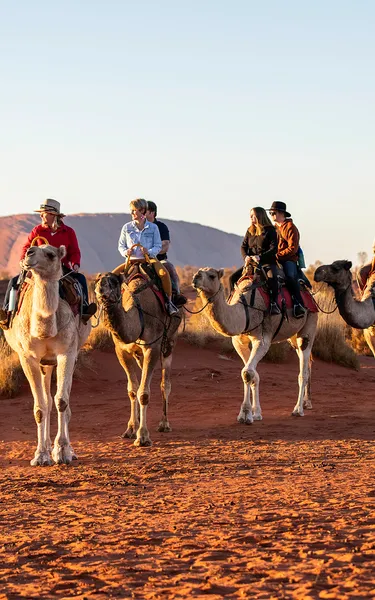 Group of visitors touring on camels with Uluru in the background