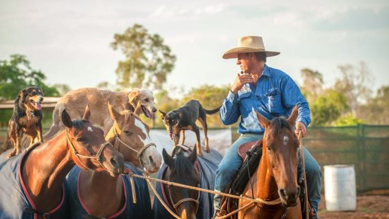 Cattle station worker with his horses and dogs in Katherine