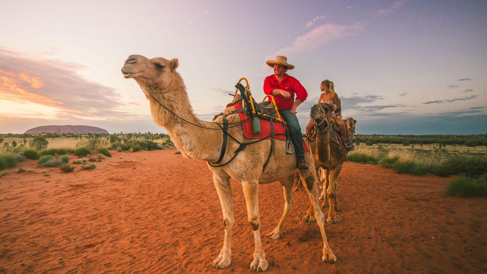 Tourists riding camels during sunset while looking over Ayers Rock in Uluru