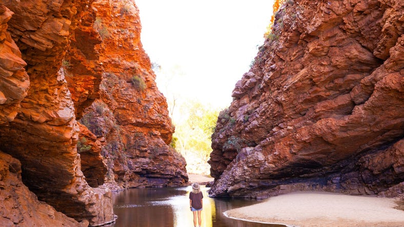 lady at simpsons gap west macs