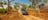 Covering nearly 20,000 square kilometers, Kakadu National Park is teeming with wildlife, home to important Aboriginal rock art sites, and takes in diverse and exotic landscape.