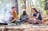 Aboriginal cultural experiences