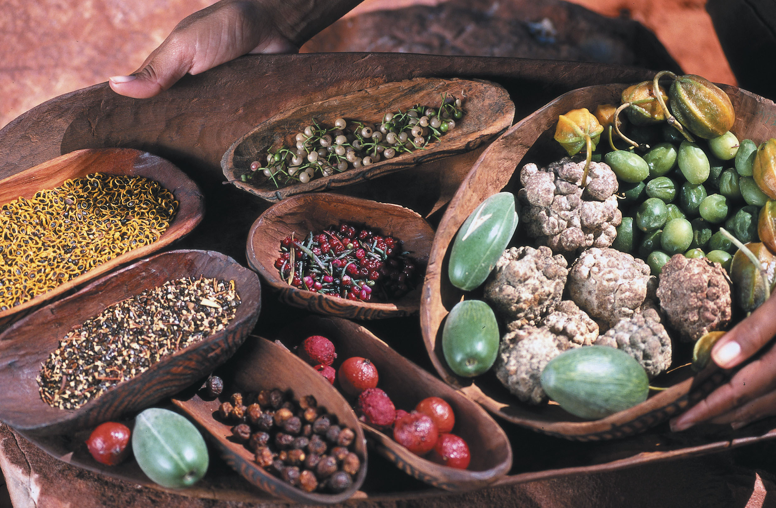 Indigenous food and cultural identity exploration